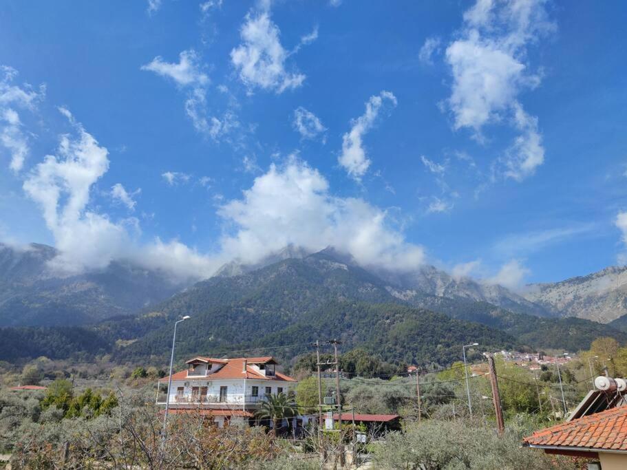 Вила Елена-Villa Elena 1 Skala Potamia (Thasos) Exterior foto